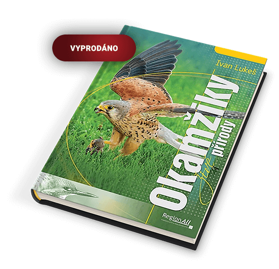 OKAMŽIKY PŘÍRODY